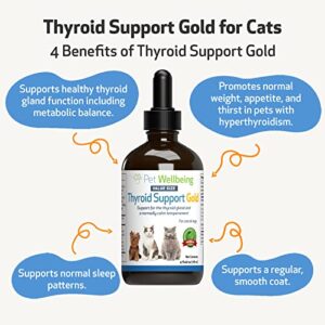 Pet Wellbeing Thyroid Support Gold for Cats - Vet-Formulated - Supports Overactive Thyroid in Felines - Natural Herbal Supplement 4 fl oz (118 ml)