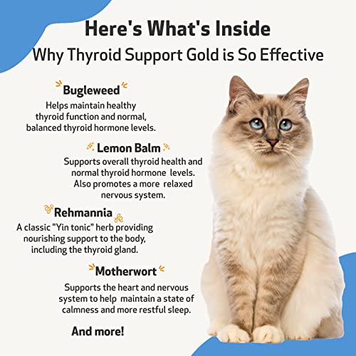 Pet Wellbeing Thyroid Support Gold for Cats - Vet-Formulated - Supports Overactive Thyroid in Felines - Natural Herbal Supplement 4 fl oz (118 ml)