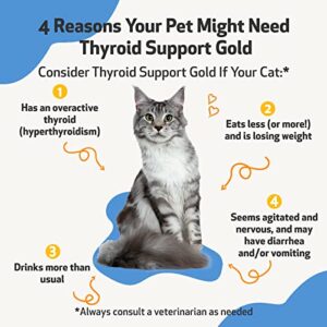 Pet Wellbeing Thyroid Support Gold for Cats - Vet-Formulated - Supports Overactive Thyroid in Felines - Natural Herbal Supplement 4 fl oz (118 ml)