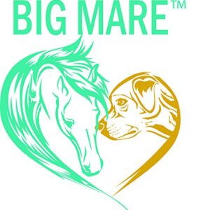 Big Mare Equine White Line Gel for Horse Hoofs | Treats White Line Hoof Disease