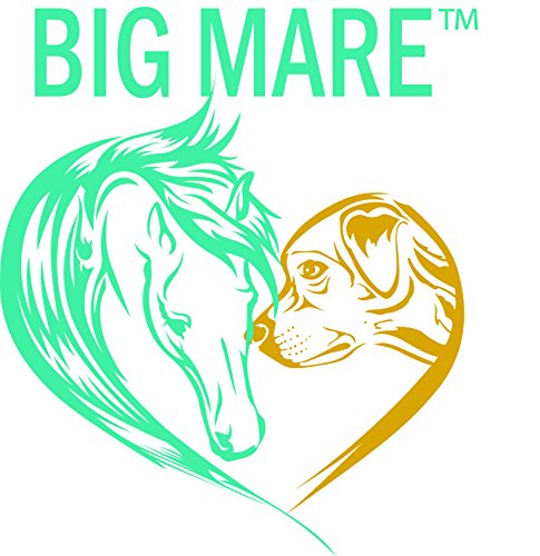 Big Mare Equine White Line Gel for Horse Hoofs | Treats White Line Hoof Disease