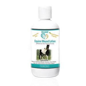 big mare | horse wound lotion | anti bacterial/anti fungal | healing, soothing & penetrating formula | 8 oz bottle