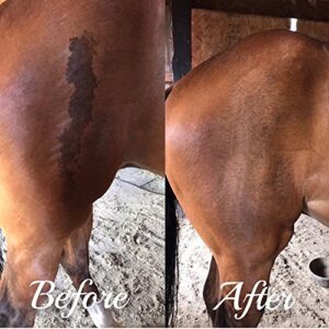 Big Mare | Horse Wound Lotion | Anti Bacterial/Anti Fungal | Healing, Soothing & Penetrating Formula | 8 oz Bottle