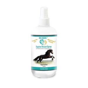 big mare horse thrush spray | clinically proven effective on thrush. no sting, no stain formulation. veterinary approved & recommended.