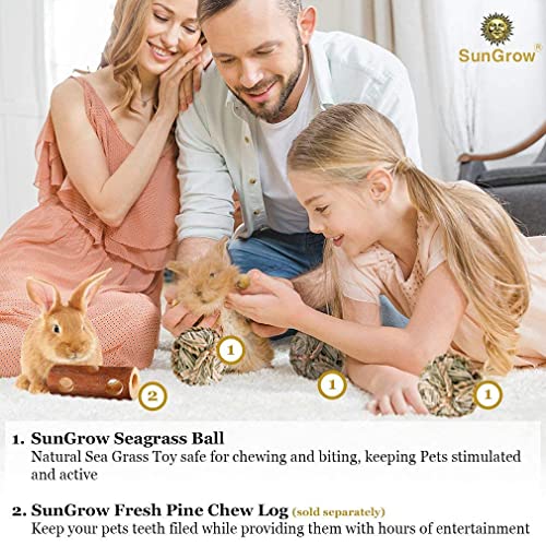 SunGrow Seagrass Balls for Rabbit, for Pet’s Gums & Teeth, Chewable Teething Activity Toy for Gerbils, Guinea Pig, Dwarf Bunny (3 Pieces/Pack)