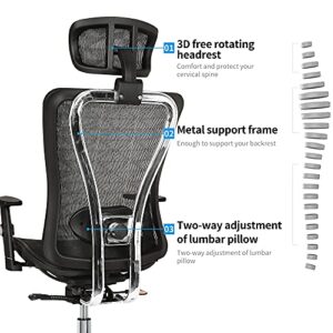 Cedric Office Chair,Breathable Mesh Computer Chair with Ergonomic Adjustable Lumbar Support, Black Swivel Desk Chair with Adjustable Armrest and Headrest, Mesh Seat,BIFMA Certification No 5.1