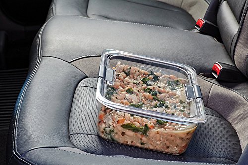 Rubbermaid Brilliance Food Storage Container, 100% Leak-Proof, Large, 9.6 Cup