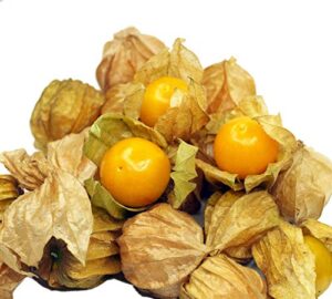 pineapple tomatillo heirloom seeds - physalis pruinosa - b271 (135 seeds, or 1/10 gram)