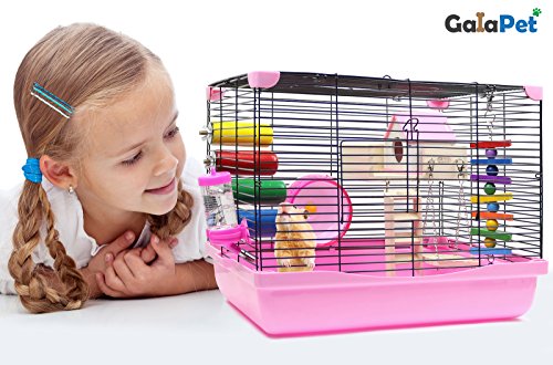 Hamster Cage | Dwarf Hamster Habitat with Exercise Wheel, Water Bottle & Accessories | 18" L x 12.5" W x 13.5" H by GalaPet