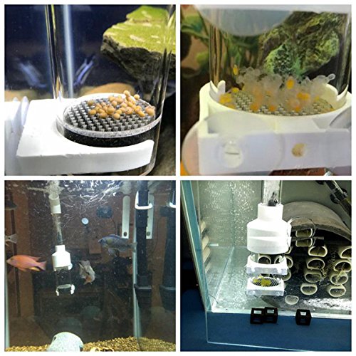 Senzeal Aquarium Fish Egg Incubator Tumbler Cichlids Fish Hatchery Mouth-Brooding 40mm
