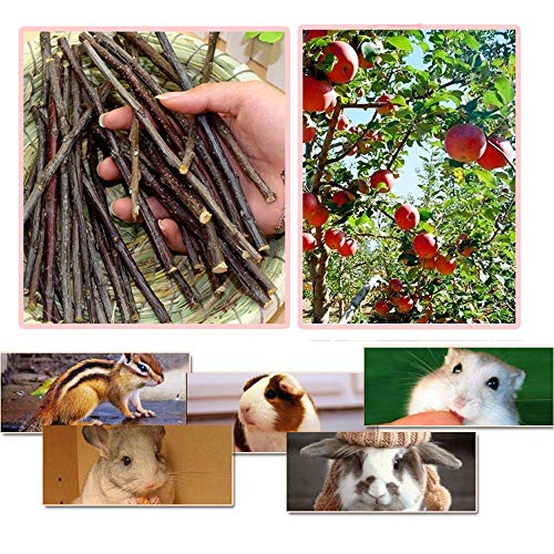 Bojafa 250g Apple Sticks Small Animals Molar Wood Treats Toys for Rabbits Chinchillas Guinea Pig Hamster Gerbil Parrot Bunny and Small Animals Chew Stick Toys Treats (250g, About 50 Pcs)