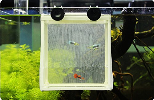 White Nylon Mesh Fish Fry Hatchery Breeder Box Separation Net by XMHF