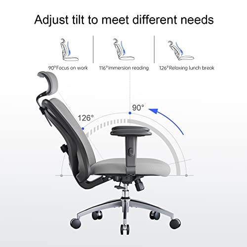 SIHOO M18 Ergonomic Office Chair for Big and Tall People Adjustable Headrest with 2D Armrest Lumbar Support and PU Wheels Swivel Tilt Function Grey