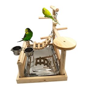 Borangs Parrots Playstand Bird Playground Wood Perch Gym Stand Playpen Bird Ladders Exercise Playgym with Feeder Cups for Parakeet Conure Cockatiel Lorikeet Budgie Cage Accessories Exercise Toy