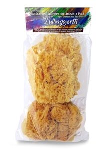 natural sea sponges for artists - unbleached 5"-5.5" 2pc value pack: great for painting decorating texturing sponging marbling effects faux finishes crafts & more