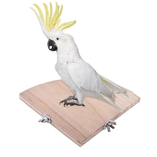 Fdit Bird Wooden Stand Platform Fan Shaped Design for Parrot Cockatiel Parakeet