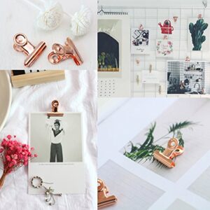 Small Rose Gold Bulldog Clips - Coideal 30 Pcs Mini Metal Binder Paper Hinge Clip Office Clamps for Picture Photos (22mm)