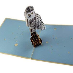 iGifts And Cards Magical Owl 3D Pop up Greeting Card - Animal, Zoo, Cute Bird, Nocturnal, Fun, Graduation, Happy Birthday, Just Because, Love, Friendship, Thank You, Special Occasion, BFF, Miss You