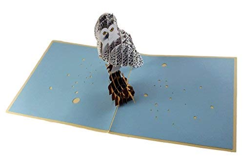 iGifts And Cards Magical Owl 3D Pop up Greeting Card - Animal, Zoo, Cute Bird, Nocturnal, Fun, Graduation, Happy Birthday, Just Because, Love, Friendship, Thank You, Special Occasion, BFF, Miss You