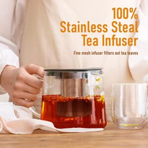 Glass Teapot with Tea Infuser - Stovetop Safe Clear Glass Teapot with Removable Strainer - Perfect for Blooming Tea, Loose Leaf and Other Herbal Teas