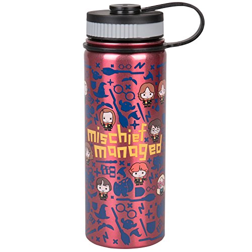 Harry Potter Stainless Steel Water Bottle - With Mischief Managed Chibi Character Design - 550ml