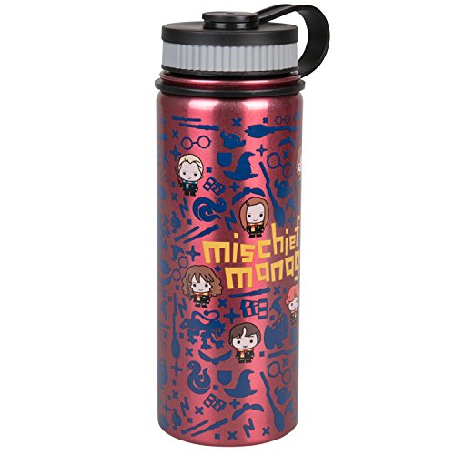 Harry Potter Stainless Steel Water Bottle - With Mischief Managed Chibi Character Design - 550ml