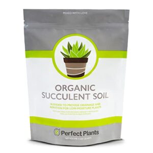 all natural succulent and cactus soil mix by perfect plants | made in the usa | 4 quarts for all succulent varieties | formulated for proper drainage