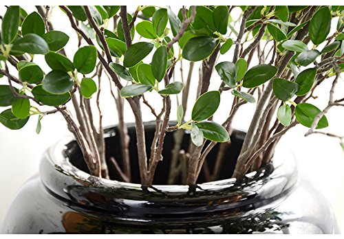 Htmeing Artificial Eucalytus Green Branches Faux Ficus Twig Home Office Shop Decoration (2PCS)