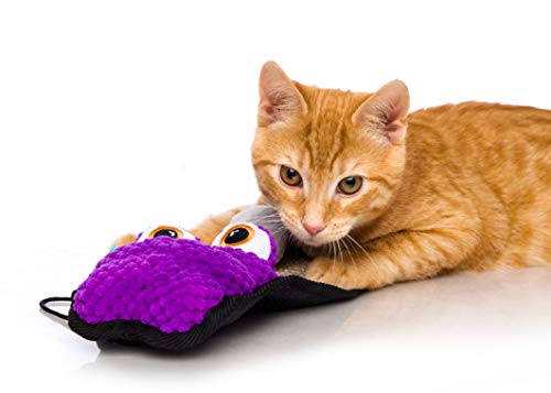 Hartz Just For Cats Gator Scratch Toy Mat (color may vary), All Breed Sizes