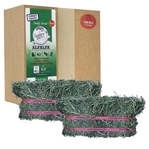 grandpa's best alf10 10 lb alfalfa hay bale (packaging may vary )