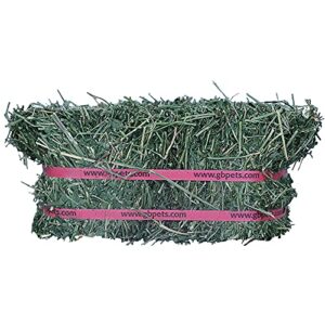 Grandpa's Best ALF10 10 lb Alfalfa Hay Bale (Packaging may vary )