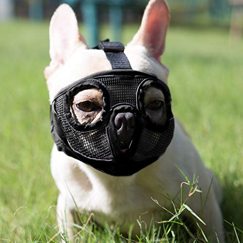 JYHY Short Snout Dog Muzzles- Adjustable Breathable Mesh Bulldog Muzzle for Biting Chewing Barking Training Dog Mask,Black(Eyehole) M