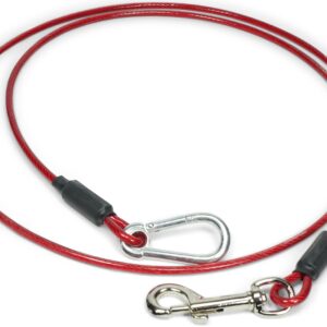 Leashboss 5 Foot Dog and Puppy Training Tie Out Cable (5 Foot Tether, Classic Red)