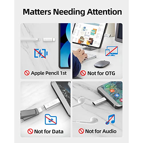 ARKTEK USB-C Adapter i OS Lighting Cable (Female) to USB Type C (Male) - Only Charging Adapter for Phone 13 Galaxy S20 Note 10 Pixel 4 and More (2 Pack, Silver)