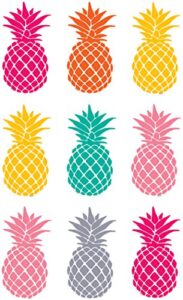 teacher created resources tropical punch pineapples magnetic accents