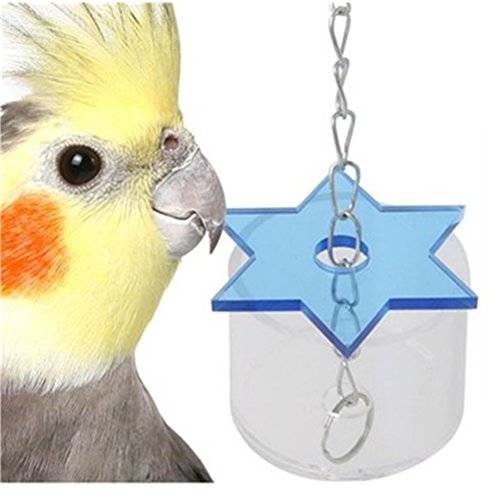 LIANCHI Parrot Creative Foraging Systems Foraging Six-Pointed Star Bird Intelligence Growth Cage Acrylic Box Toys (A)