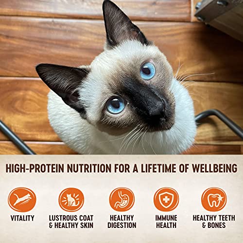 Wellness Core 95% Natural Grain Free Wet Canned Cat Food, Turkey, 5.5-Ounce Can (Pack Of 12)