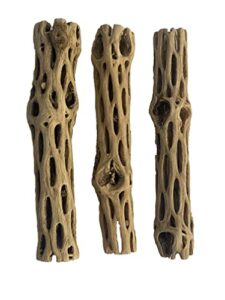 awesome aquatic natural cholla/choya wood 3 pieces 6” for shrimp habitat and food treat hermit crabs plecos aquarium decoration lowers ph hideouts and chew toys reptiles thorn free dried organic