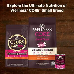 Wellness CORE Natural Grain Free Small Breed Mini Meals Wet Dog Food, Shredded Chicken & Turkey Dinner in Gravy, 3-Ounce Pouch (Pack of 12)