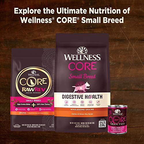 Wellness CORE Natural Grain Free Small Breed Mini Meals Wet Dog Food, Shredded Chicken & Turkey Dinner in Gravy, 3-Ounce Pouch (Pack of 12)