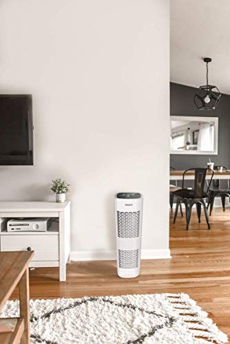 Whirlpool Whispure WPT80P True HEPA Air Purifier, Activated Carbon Advanced Anti-Bacteria, Ideal for Allergies, Odors, Pet Dander, Mold, Smoke, Smokers, and Germs, Large, White