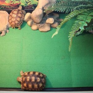 Tfwadmx Reptile Carpet Mat Substrate Liner Bedding Reptile Supplies for Terrarium Lizards Snakes Bearded Dragon Gecko Chamelon Turtles Iguana (39"X20")