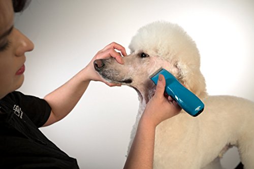 Andis 73515 Pulse Li 5 Cord/Cordless Grooming Clipper for Dogs, Cats and Equine, Teal