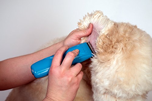 Andis 73515 Pulse Li 5 Cord/Cordless Grooming Clipper for Dogs, Cats and Equine, Teal