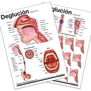 Blue Tree Publishing Swallowing anatomy education (A4 laminated chart (Spanish))