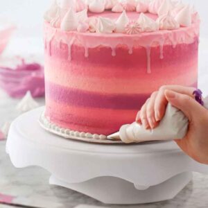 Wilton High and Low Decorating Cake Turntable and Cake Stand Display