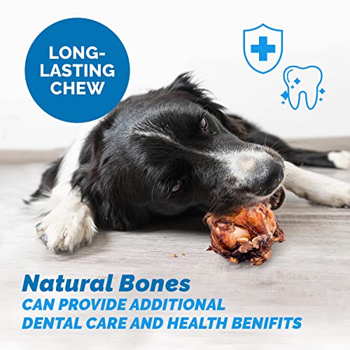 123 Treats Meaty Dog Bones, 100% Natural Knee Cap Beef Bone Dog Treats, No Additives, Made from Premium USA Grass Fed Beef, Tasty Long Lasting Chews for Dogs, Improve Oral Health, Pack of 10