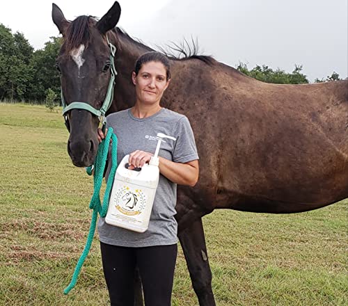 Smart Earth Camelina Horse Oil Supplement for Equine Care & Feed | Essential Oils for Joint Health | 1gal Jug