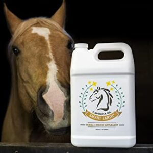 Smart Earth Camelina Horse Oil Supplement for Equine Care & Feed | Essential Oils for Joint Health | 1gal Jug