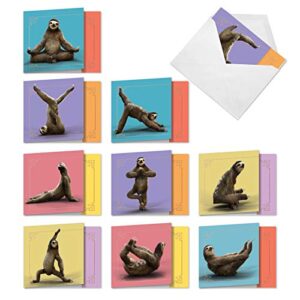 the best card company - 10 blank yoga note cards (4x 5.12 inch) - boxed notecards with envelopes, cute animal cards, zen assortment - sloth yoga amq6255ocb-b1x10